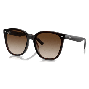 Ray-Ban RB4423D 714/13 - M (66-15-145)